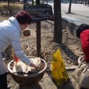 마두2동주민센터 이미지