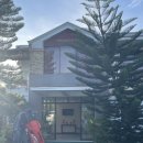 Greenfield | 보홀 만원대 가성비 숙소 | 그린필드 투어리스트 인 | 아고다 내돈내산