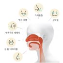 풀잎한의원 이미지