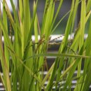 수혁농장 이미지