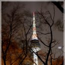 서울 남산타워 의 황홀한 야경 이미지