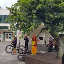 월령리사무소 이미지