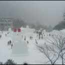 보궁식당 이미지