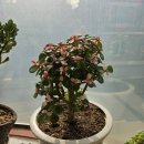 봄날모텔 이미지