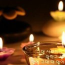 사람과나무 네이버블로그