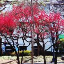 경상감영공원 이미지