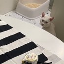 천은세탁소 이미지