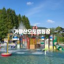 당북농협 파머스마켓 주차장 입구 앞 | 경북 성주 가야산오토캠핑장 물놀이터 규모가 큰 자연 속 캠핑장