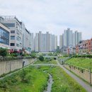서월 | [동남지구 속눈썹펌] 용암동 브로우서월 노글루 수분펌 후기