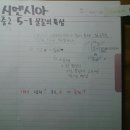 시엔시아 네이버블로그