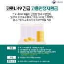 [유튜브]대리기사와 퀵서비스기사 맞춤＜긴급고용안정지원금신청안내 _전국대리기사협회TV 이미지