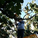 서영농장 이미지