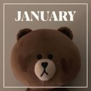 🧸 2025년 01월 결산