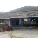 도창리 이미지