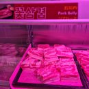 몽블리 | 명동 소고기 곱창 무한리필 몽블리 명동점 솔직후기