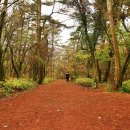 1박2일 제주도 온천여행코스 가족과 함께하기 최고 일정 ♪ 이미지