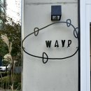 웨이프(WAYP) 이미지