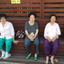 효자종합사회복지관 이미지