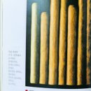 중권농장 티스토리