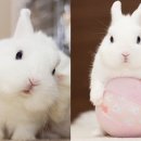 과학아 나랑놀자 이미지