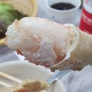 옥이네이호점 | 강원도 속초 대포항 '옥이네 활어센터' 가성비 횟집 대게 맛집 내돈내산 방문후기