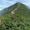 6월 22일 일요 당일 설악산 대청봉(1,708m),흘림골 산행신청방 이미지