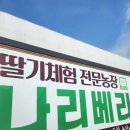 약수초등학교 | 울산 북구 아이와 가볼만한 곳 딸기체험 나리베리 솔직 후기(feat. 울산수학문화관)