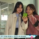 📢 [경기투어패스 2025] 경기 양평·가평부터 화성·천안까지 알차게 즐기는 꿀팁 대공개!