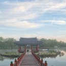 선화조경