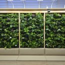 도산면행정복지센터 이미지