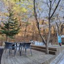 별의정원 이미지