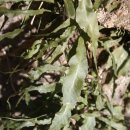 참새골약수터 이미지