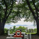 서진푸드 | 삼천포 명소ㆍ팬아저, 박서진 건어물 가게 <서진이네 건어물>