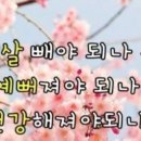 판타지점핑다이어트
