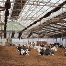 노력농장 이미지