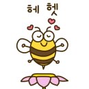 청해회타운 이미지