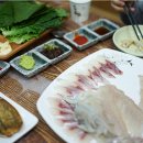 외옹치항 활어판매장 | 속초롯데호텔 앞 대포항수산시장 선복호 회센터 현지인횟집 후기