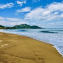 누리바로 이미지