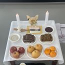 MMASTORY경주 네이버블로그
