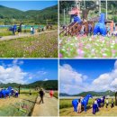 코스모스PC 이미지