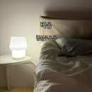 동양무선 | MBIS(엠비아이에스) 바움포터블램프 침실무드등 침실 분위기 살리는 감성 무선조명 후기
