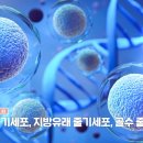 봉봉성형외과의원 이미지