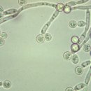 이정훈한의원 이미지