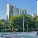 소사벌초교 사거리 이미지