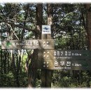 동국대학교의료원(경주) Daum카페