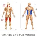 슬기로운필라테스 - 성북구 동소문로 52 | 슬기로운필라테스