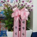 지에스25 양지대로 이미지