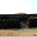 (주)보광제주 이미지
