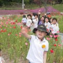 청양고추문화마을 이미지