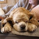 함평역 화장실 이미지